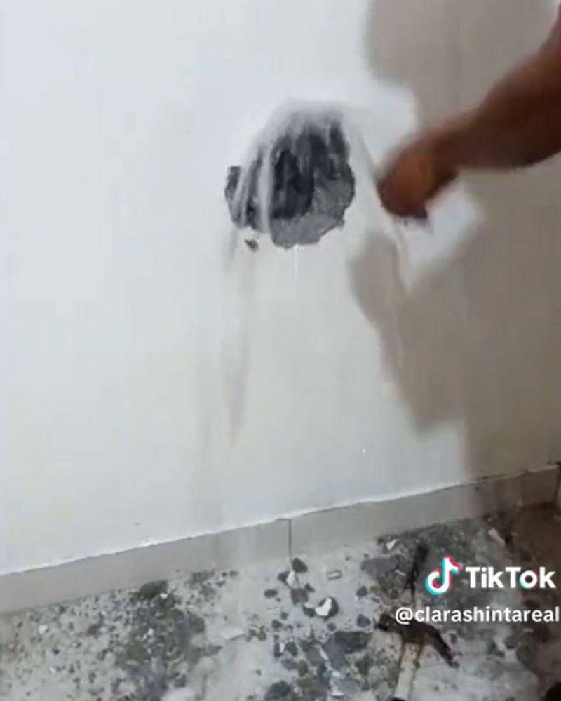 Tiktok.com/clarashintareal